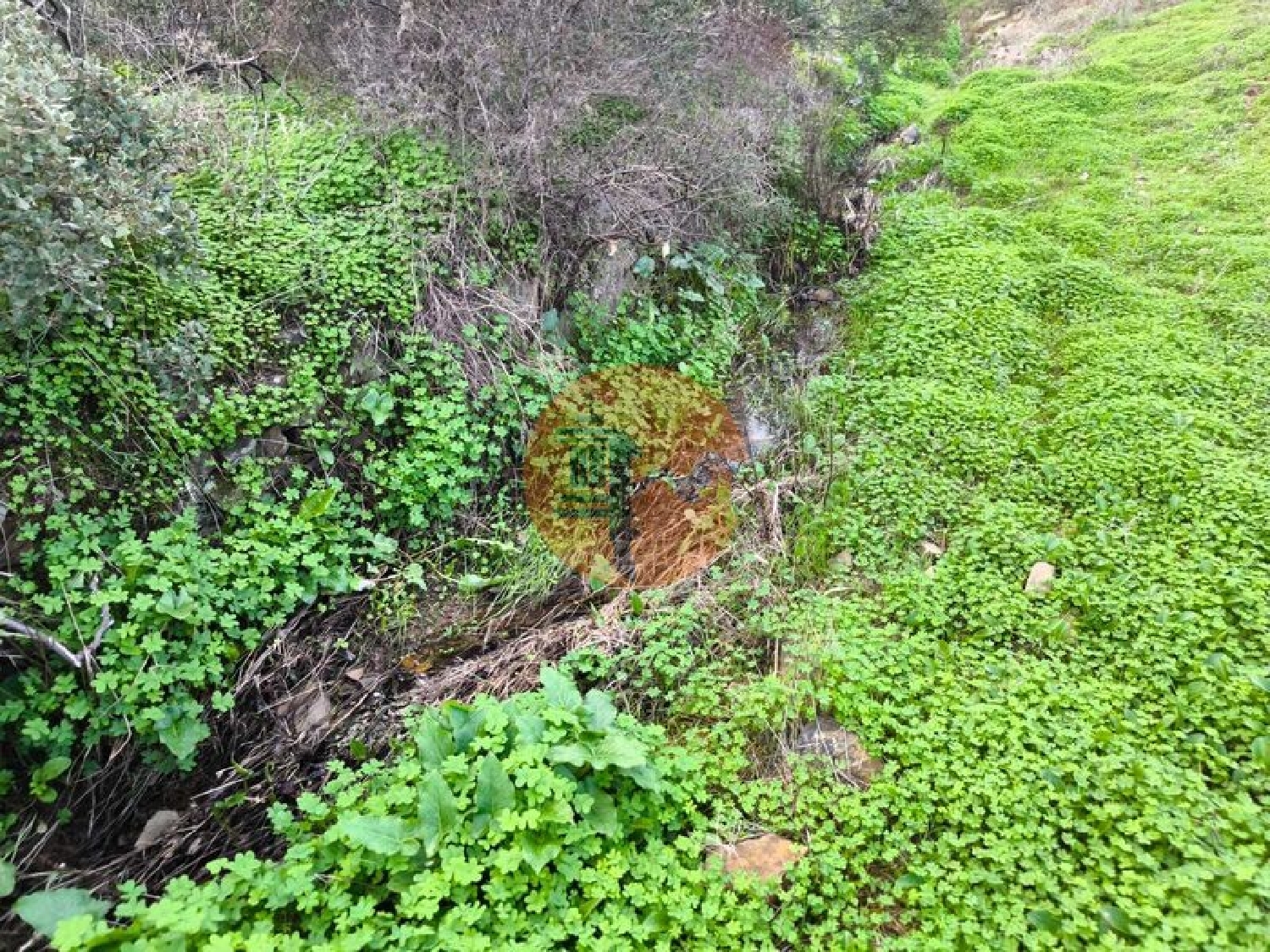  kaufen Grundstück Azinhal Albufeira 3