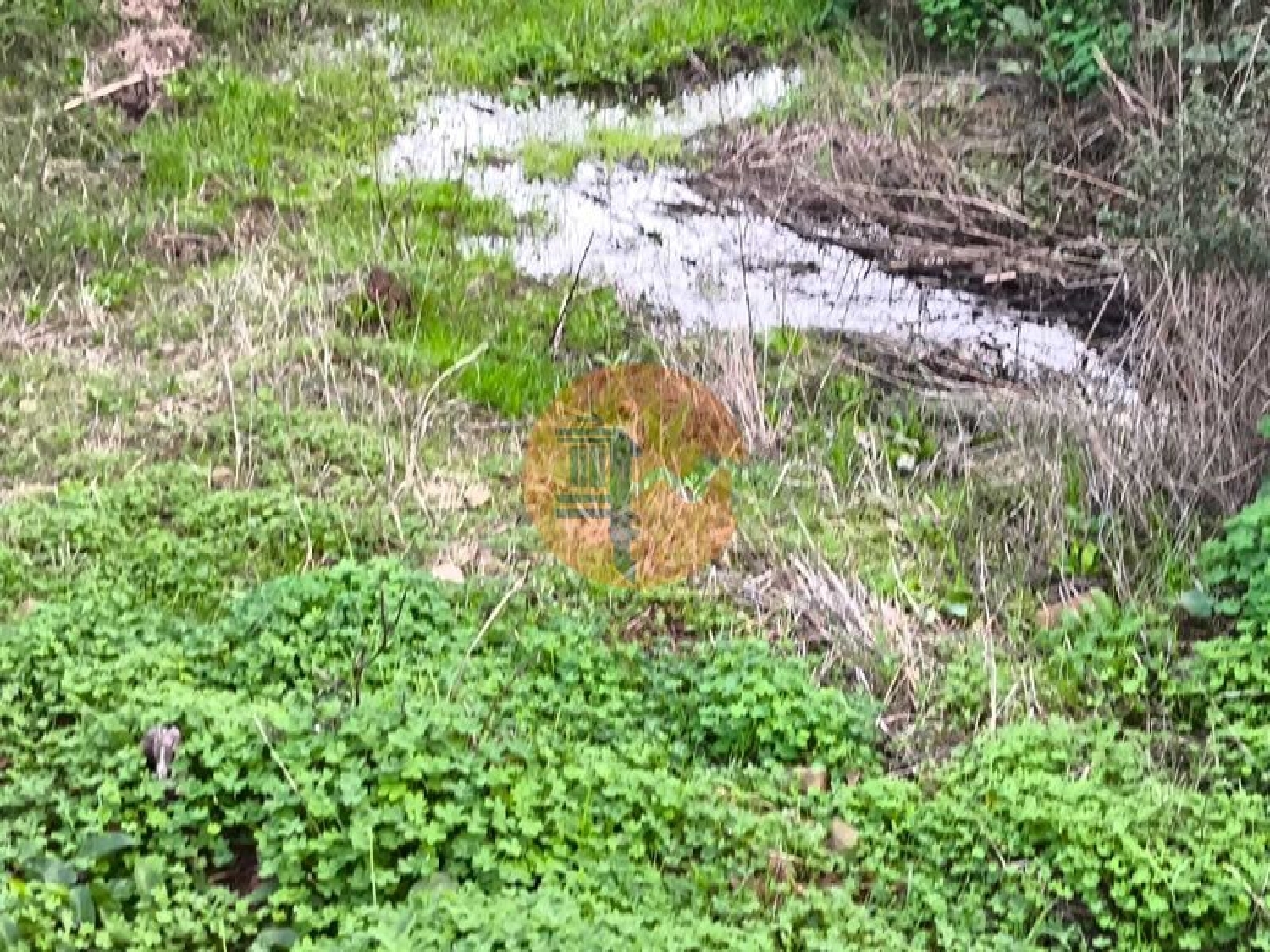  kaufen Grundstück Azinhal Albufeira 7