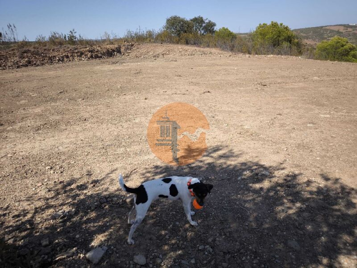  kaufen Grundstück Azinhal Albufeira 3