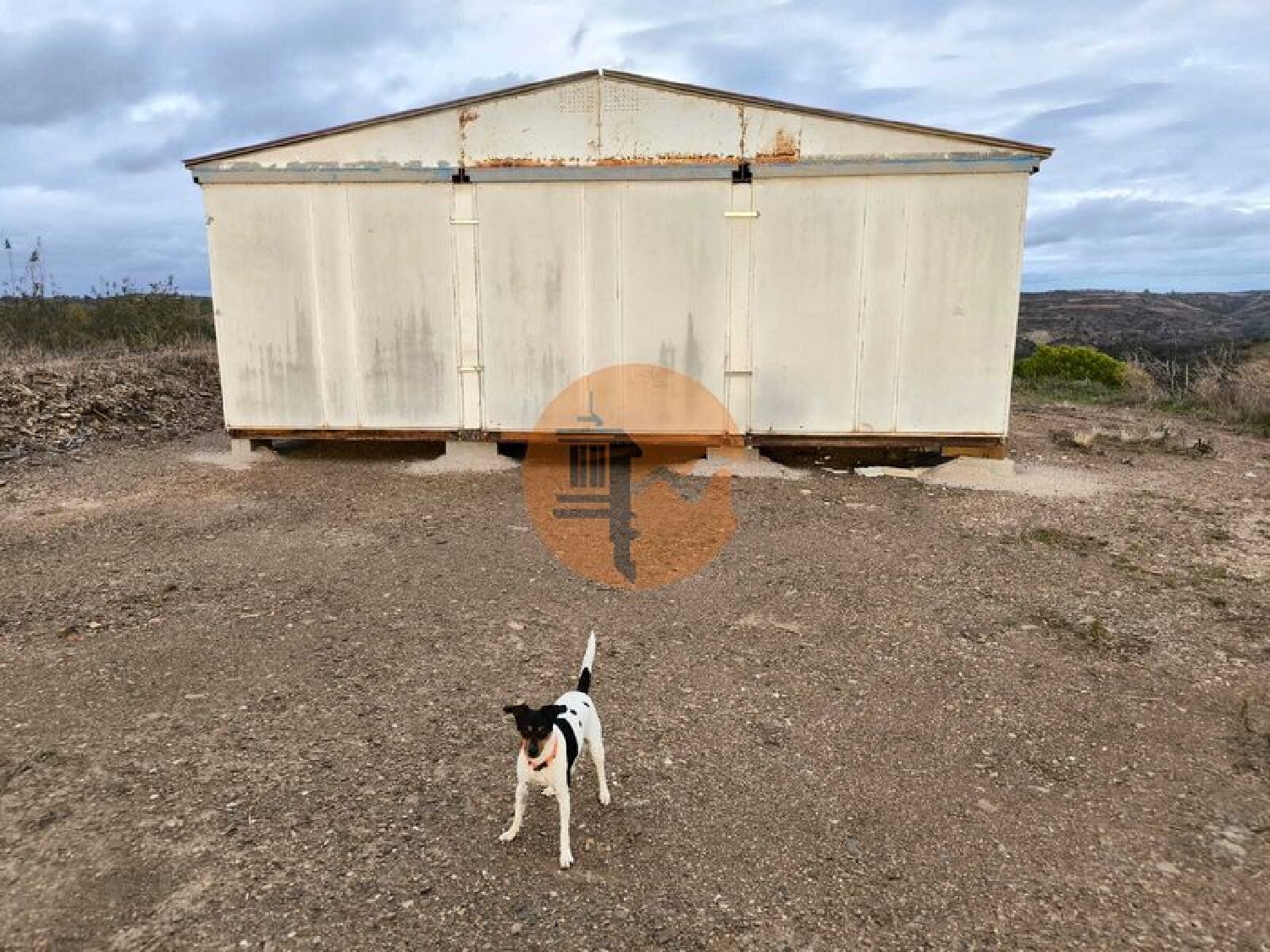  kaufen Grundstück Azinhal Albufeira 5