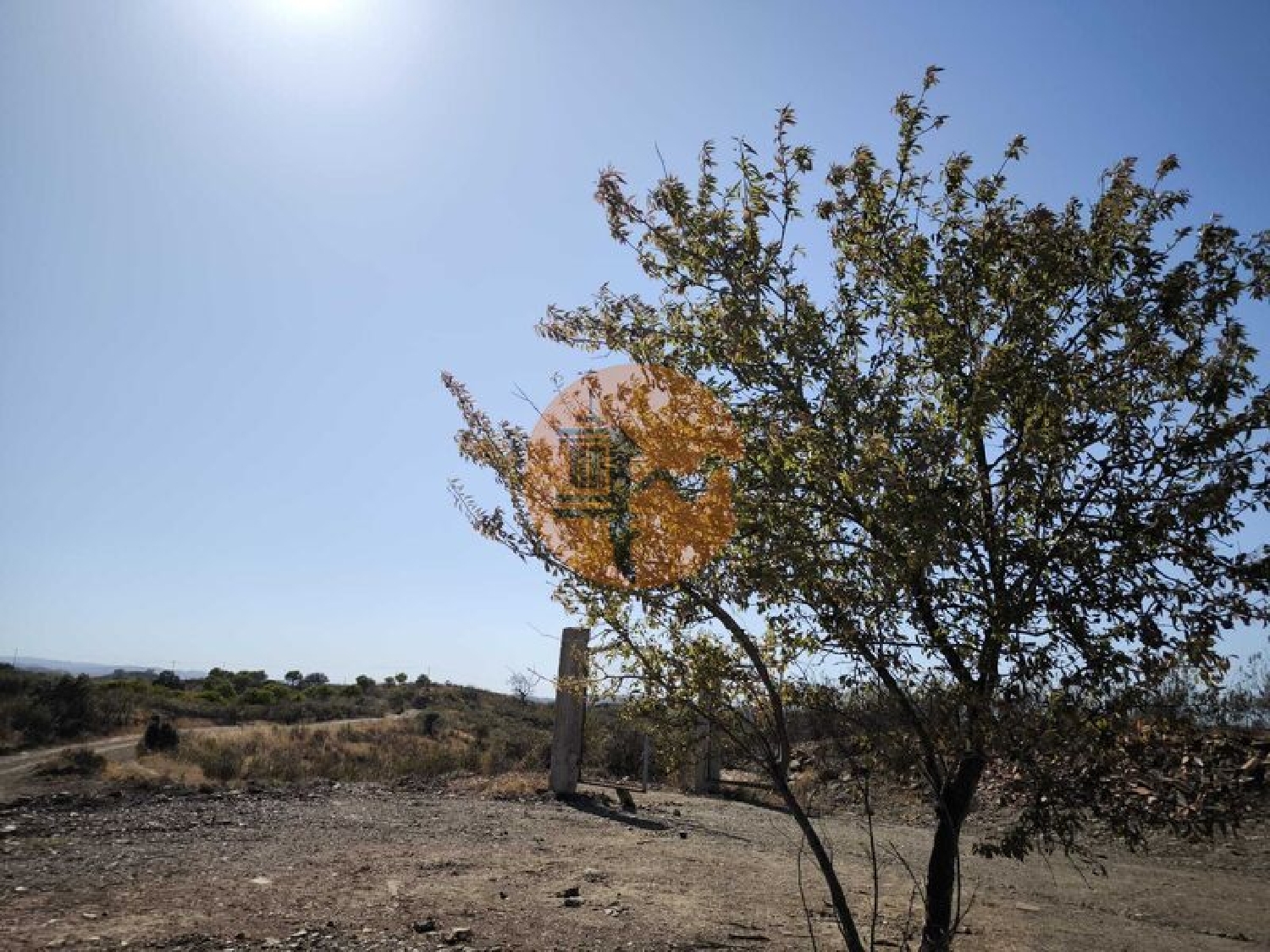  kaufen Grundstück Azinhal Albufeira 6