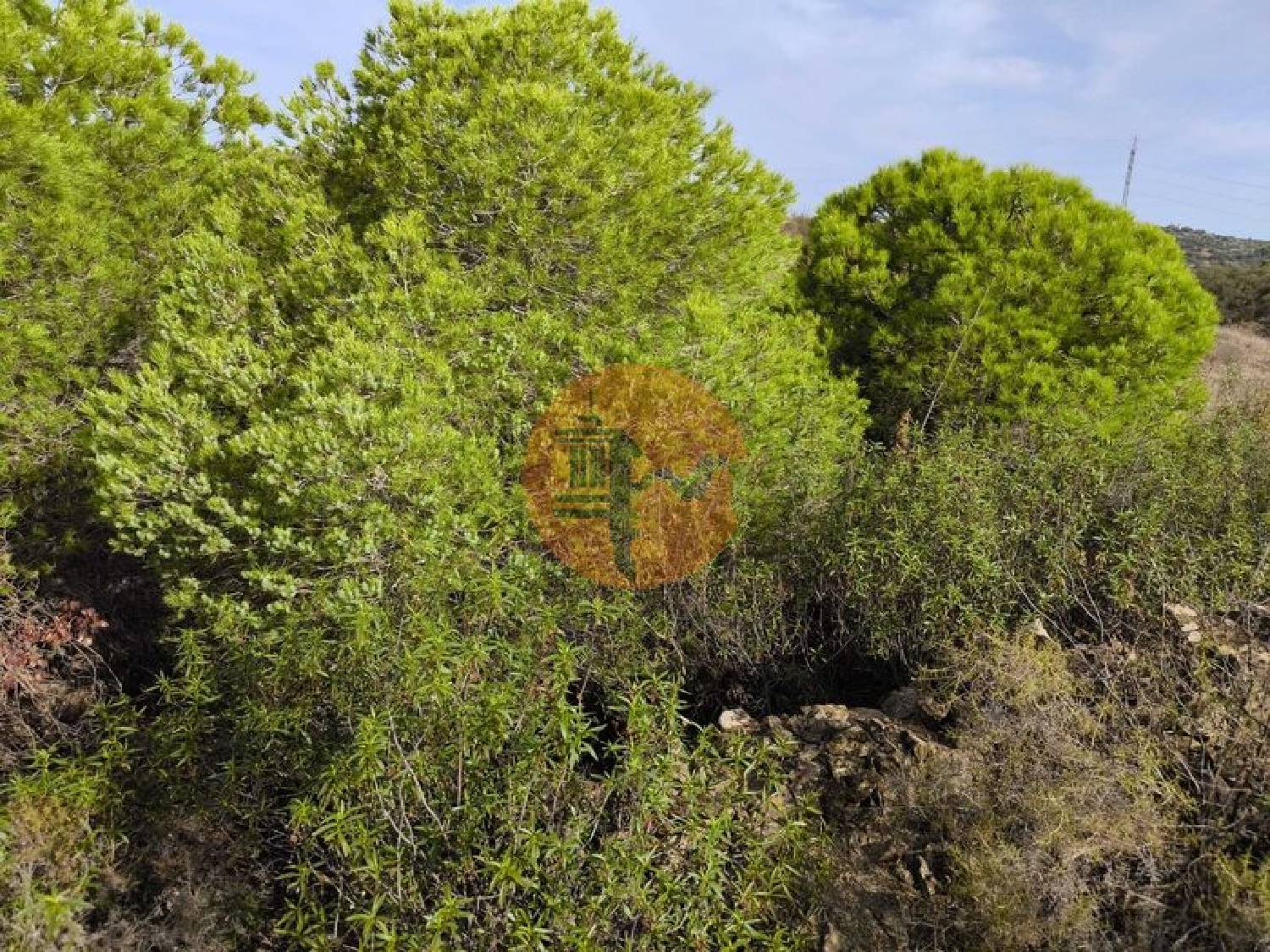  for sale terrain Castro Marim Castro Marim 3