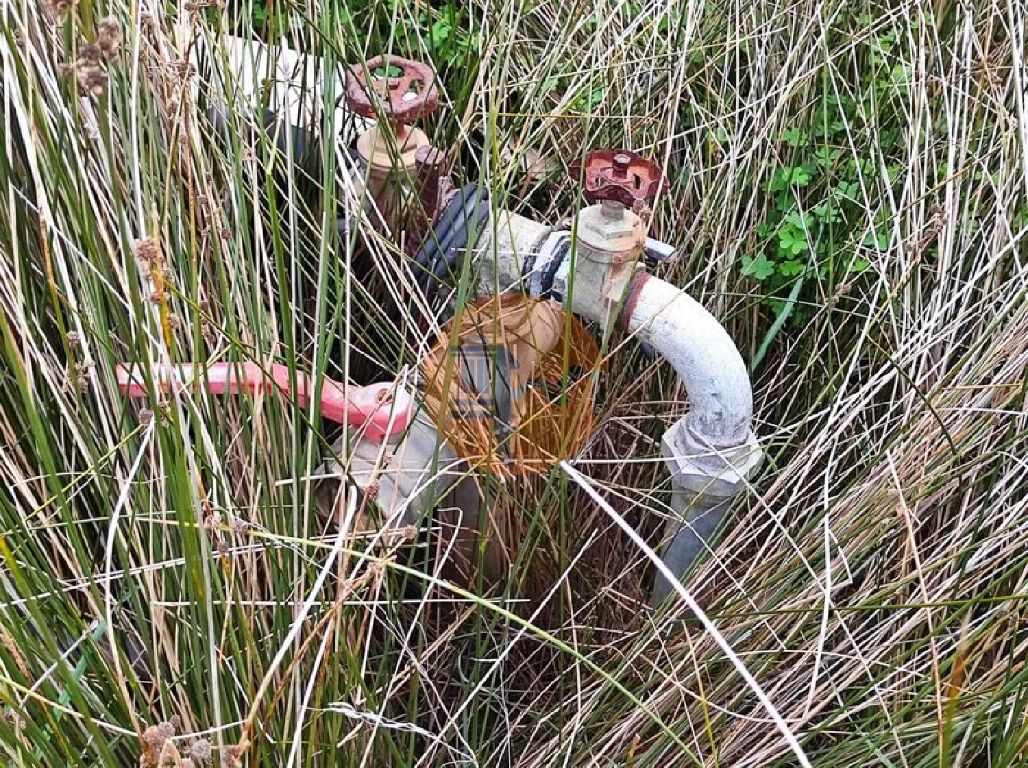  kaufen Grundstück Castro Marim Castro Marim 3