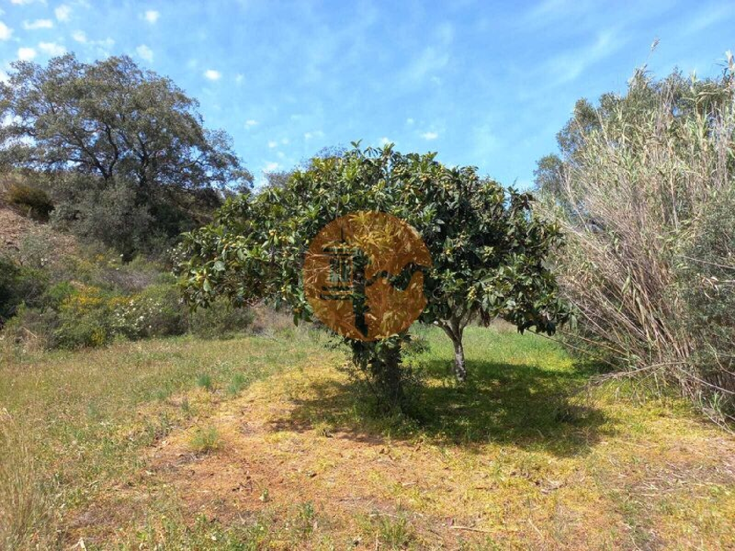  kaufen Grundstück Castro Marim Castro Marim 8