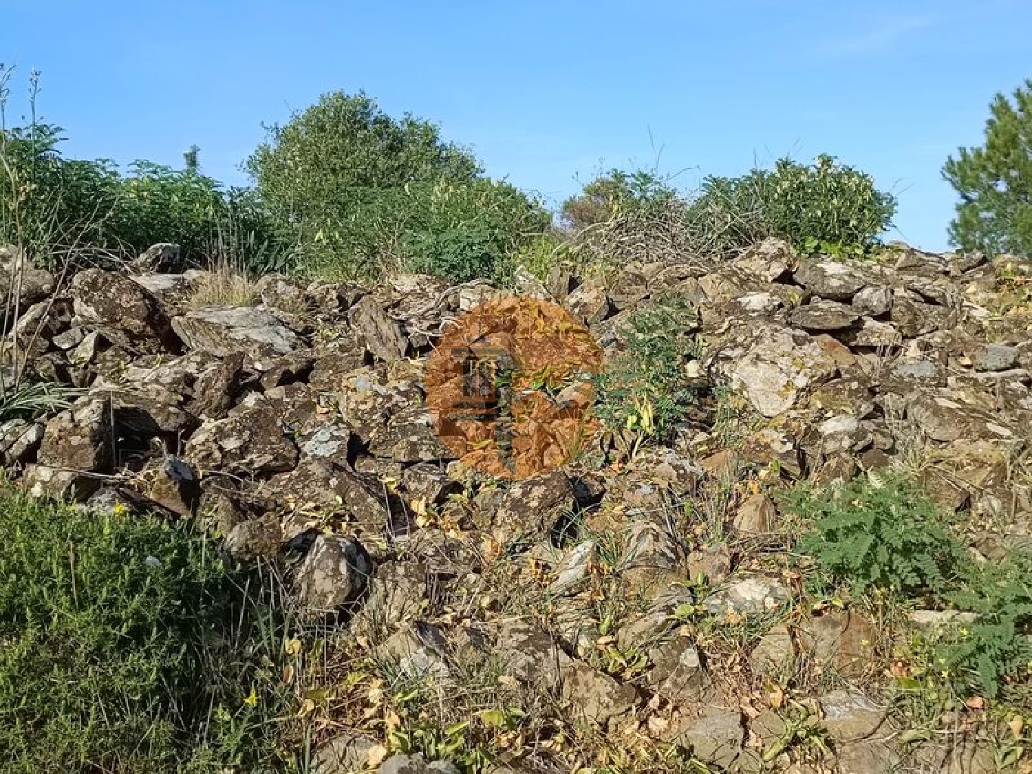  for sale terrain Castro Marim Castro Marim 3