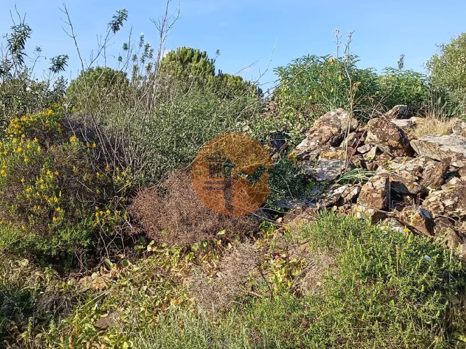  for sale terrain Castro Marim Castro Marim 5