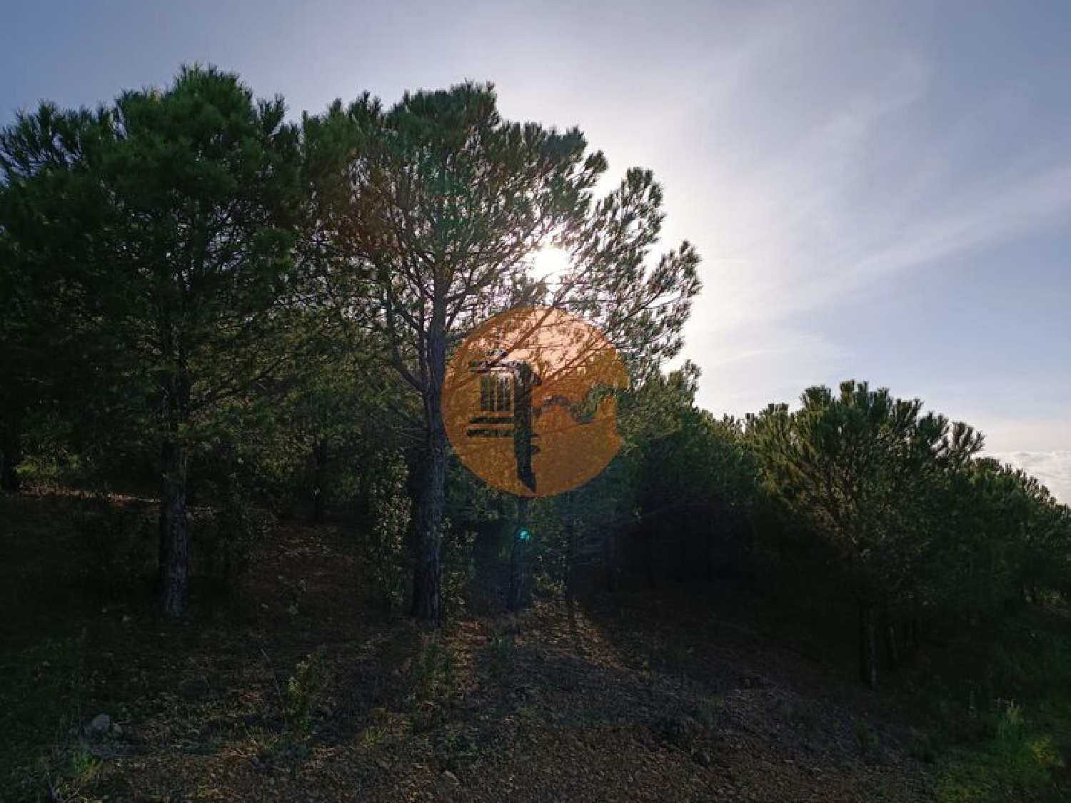  for sale terrain Castro Marim Castro Marim 6