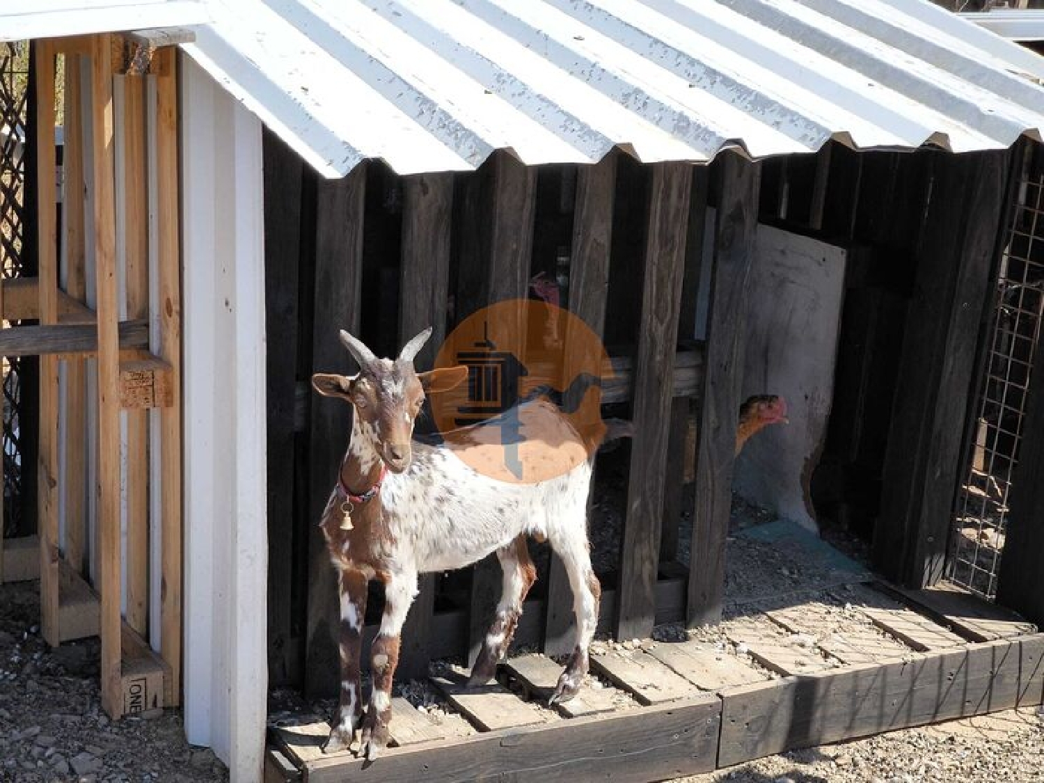  te koop terrein Castro Marim Castro Marim 5