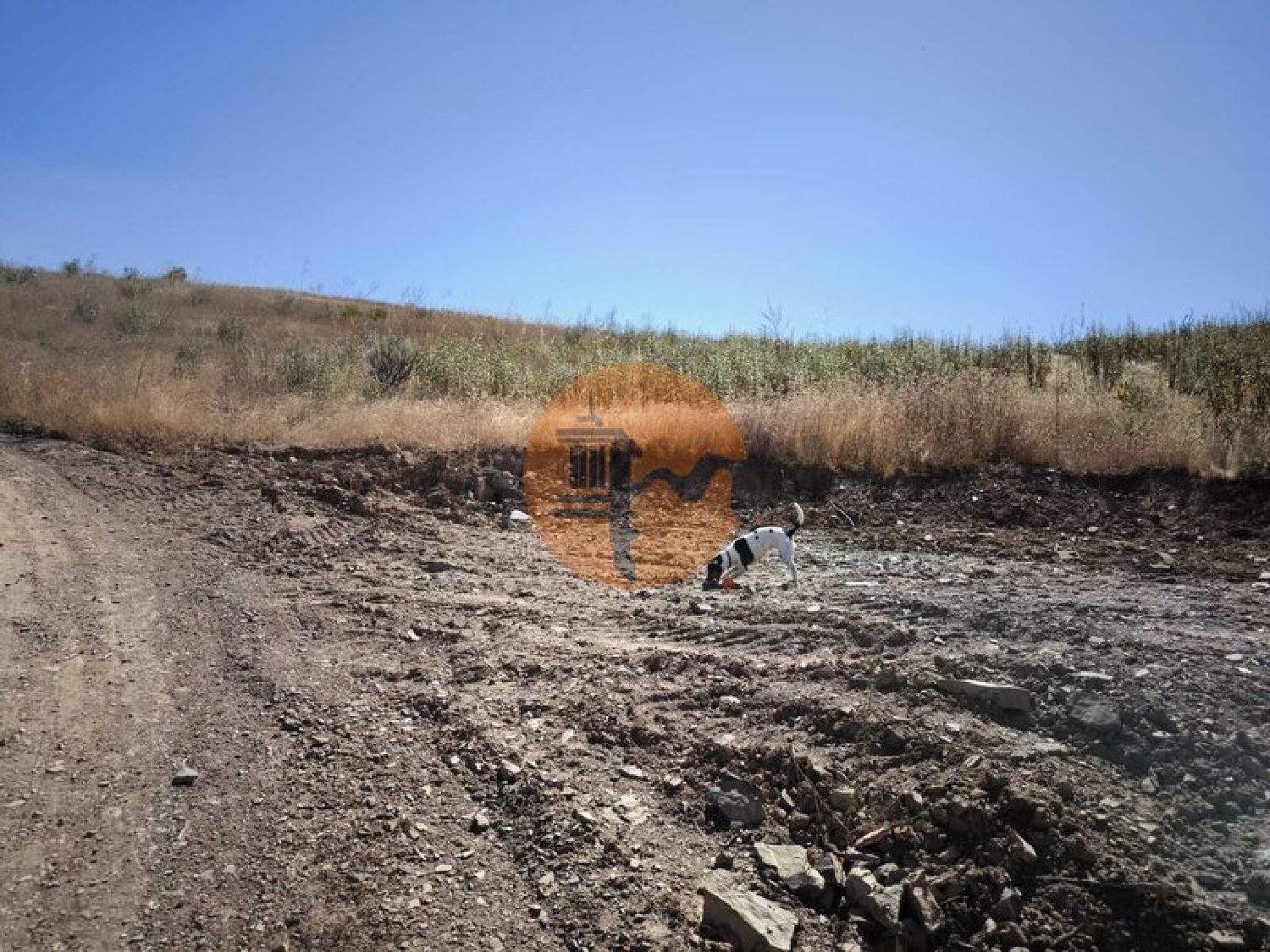  te koop terrein Castro Marim Castro Marim 6