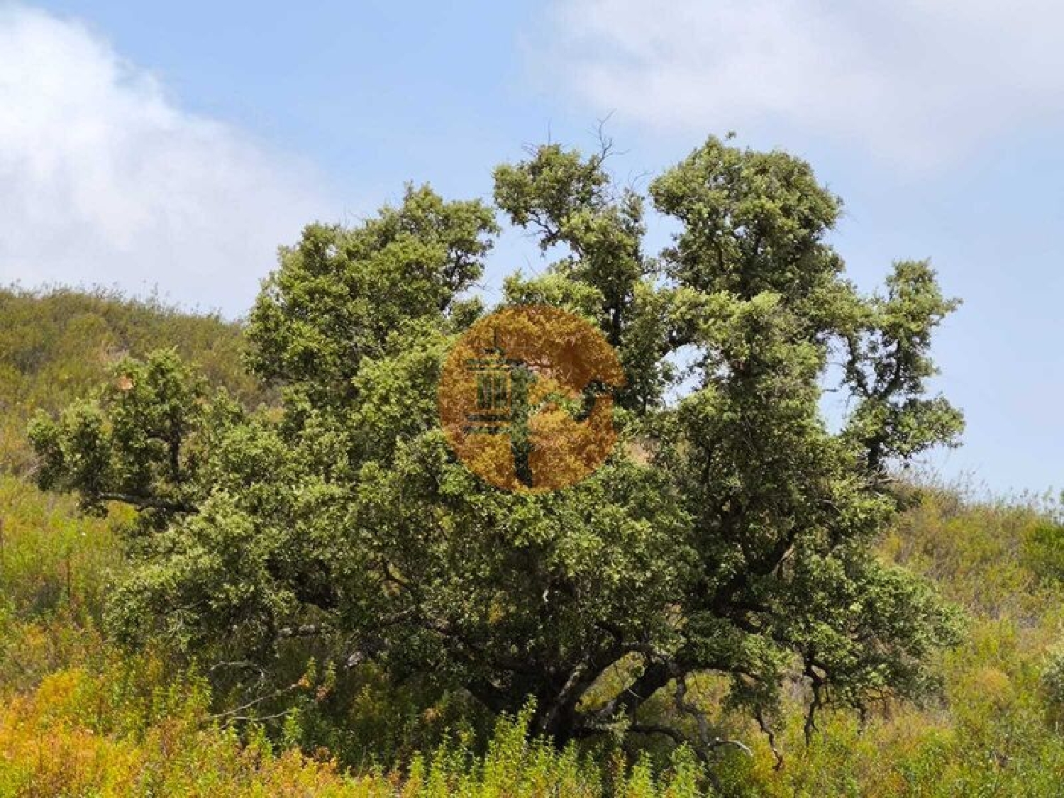 te koop terrein Castro Marim Castro Marim 3