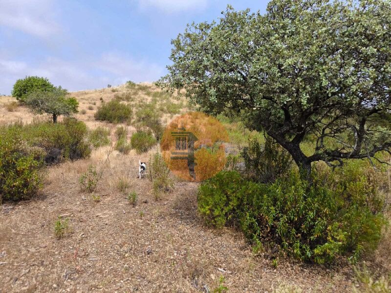  te koop terrein Castro Marim Castro Marim 4