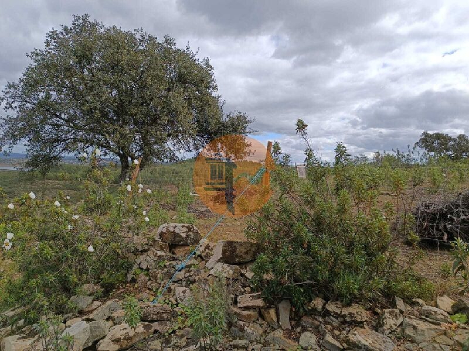  kaufen Grundstück Odeleite Castro Marim 3