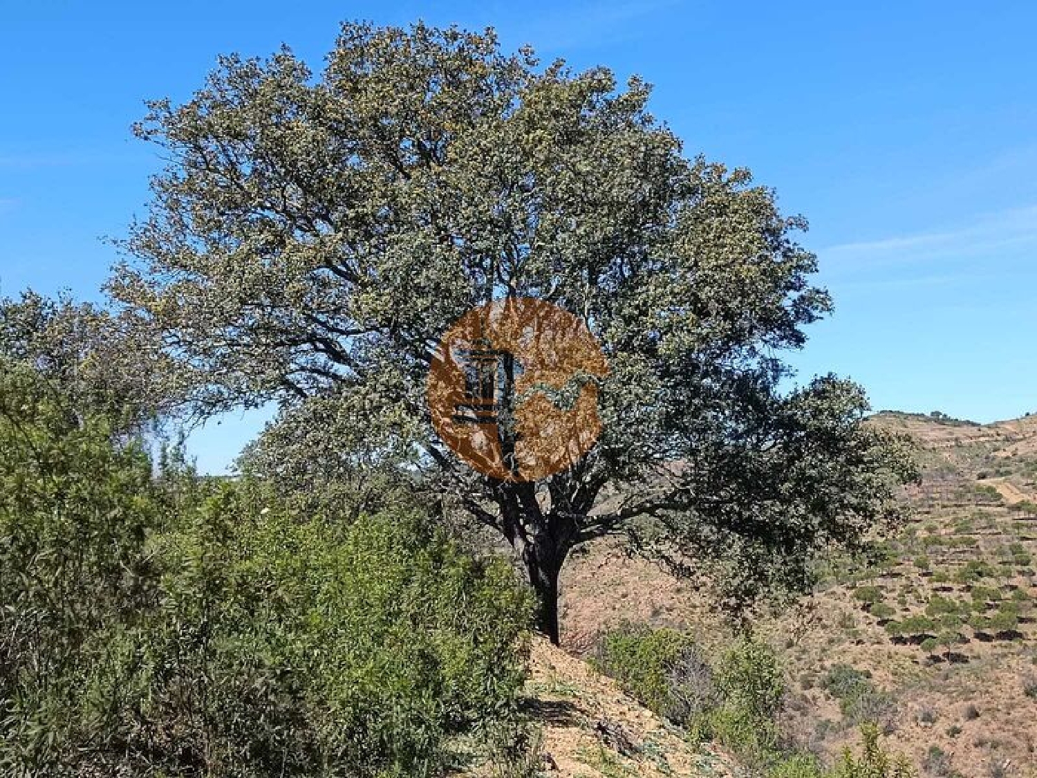  kaufen Grundstück Odeleite Castro Marim 3