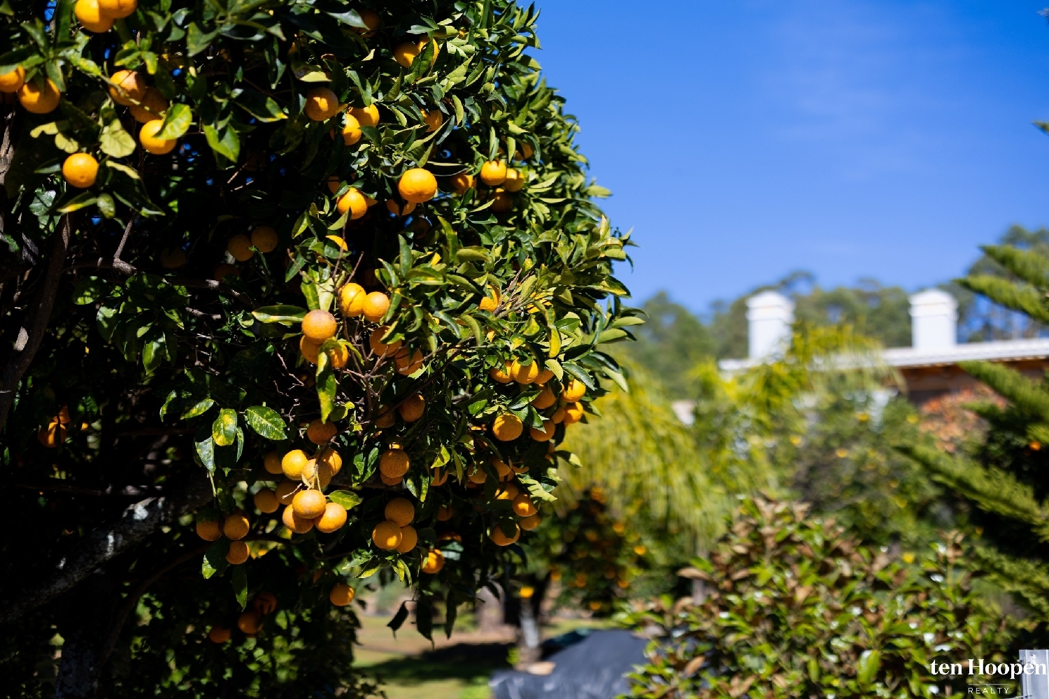  te koop villa Monchique Alcoutim 5