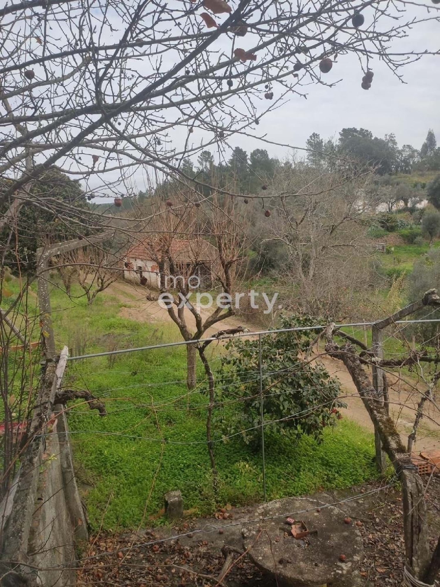 te koop villa Sardoal Sardoal 3