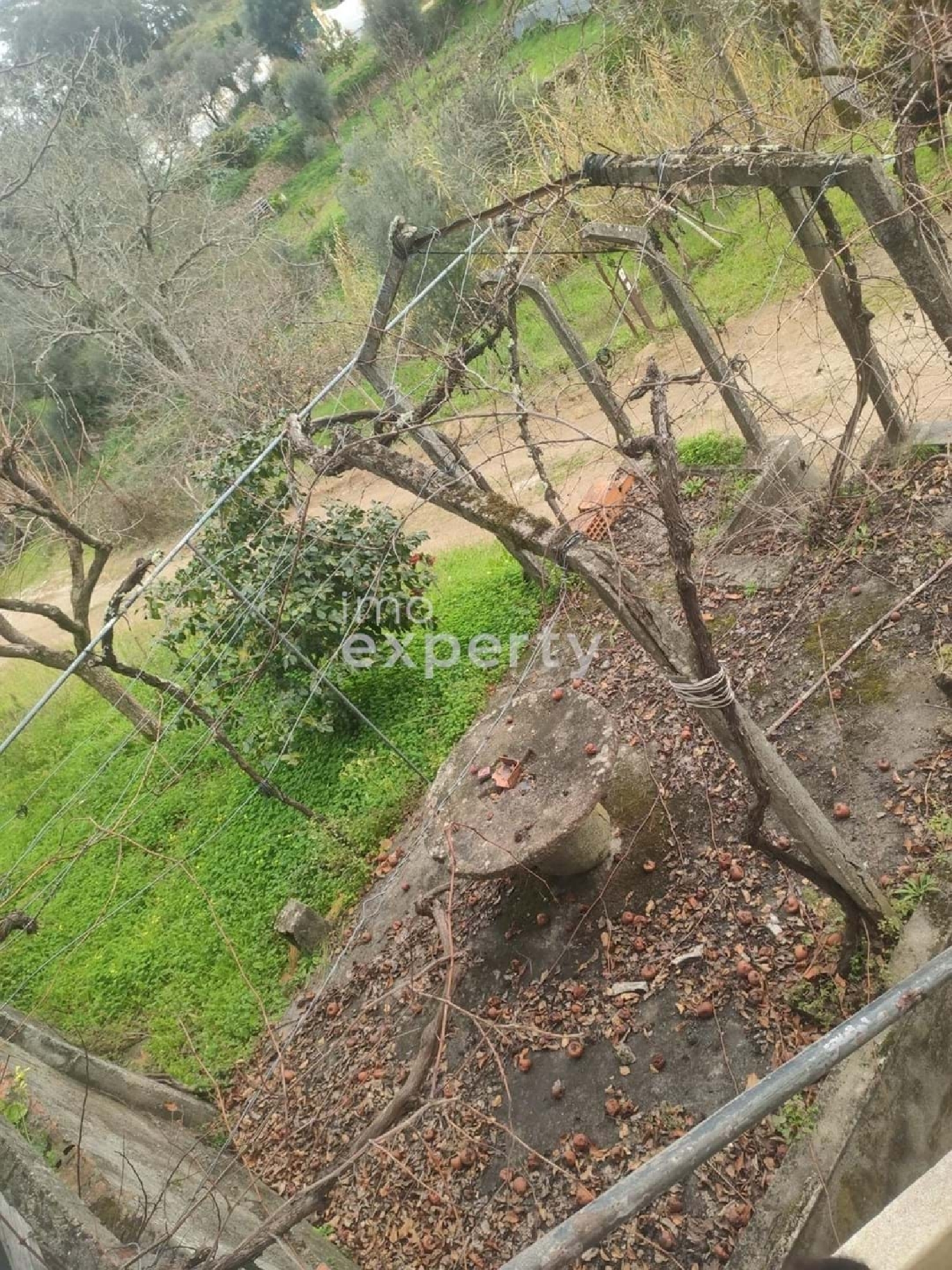  te koop villa Sardoal Sardoal 4