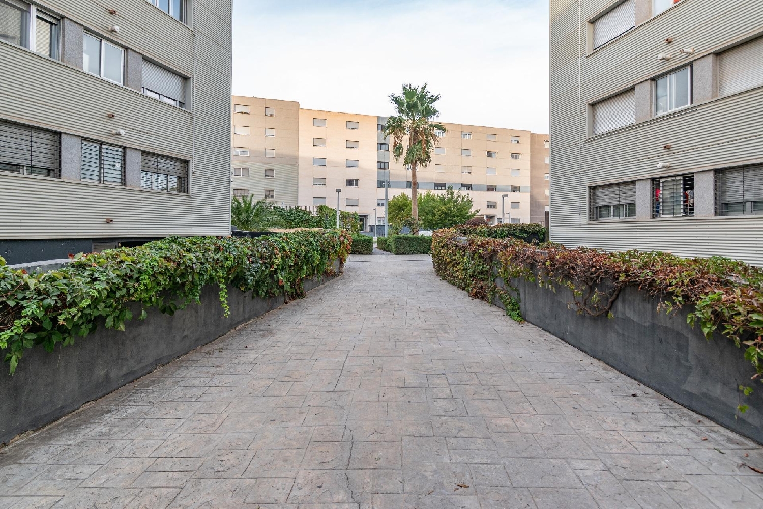  en venta apartamento Alhendín Vega De Granada 5