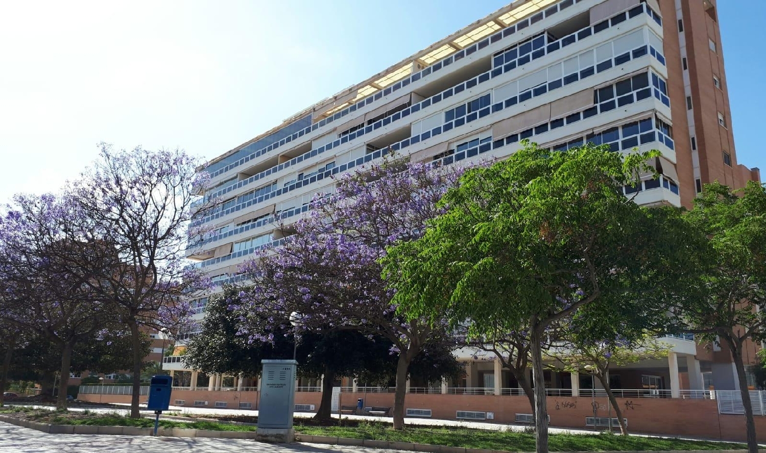  kaufen Wohnung Alicante Centro 03001 Alacantí 3