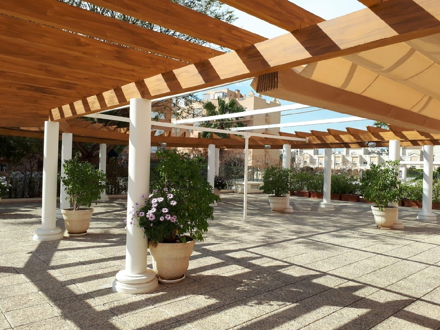  kaufen Wohnung Alicante Centro 03001 Alacantí 5