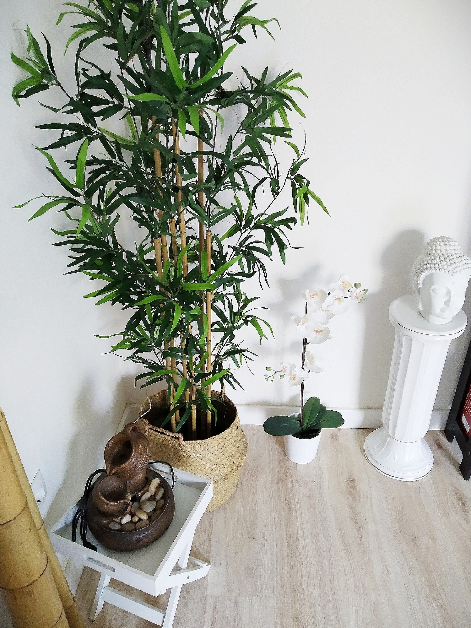  kaufen Wohnung Alicante Centro 03001 Alacantí 5