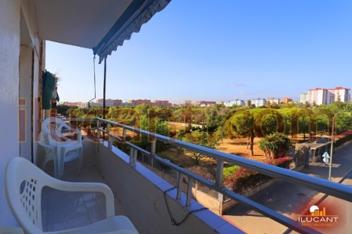 Alicante Centro 03001 Alacantí apartment foto 6318018