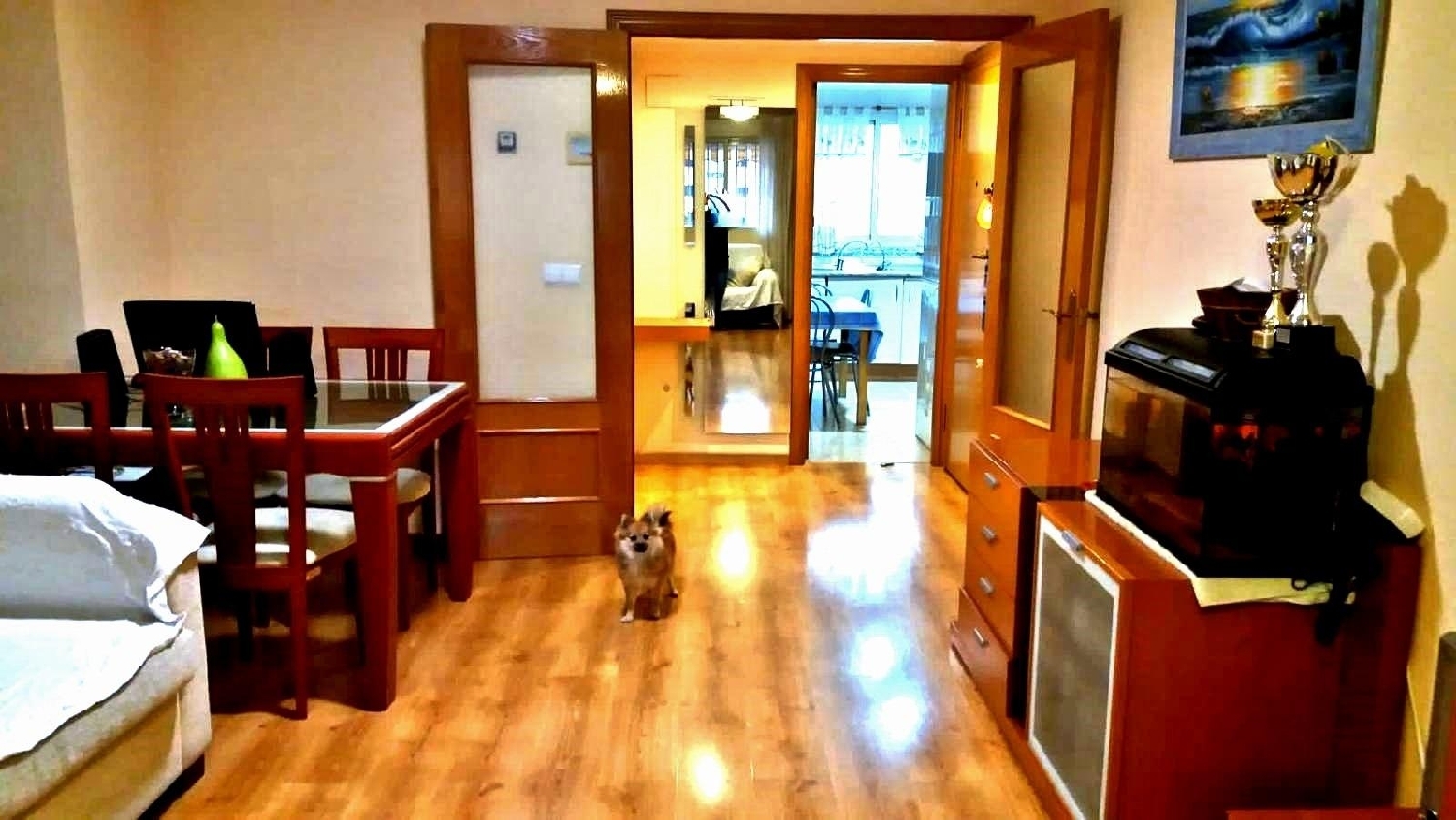 kaufen Wohnung Alicante Centro 03001 Alacantí 5