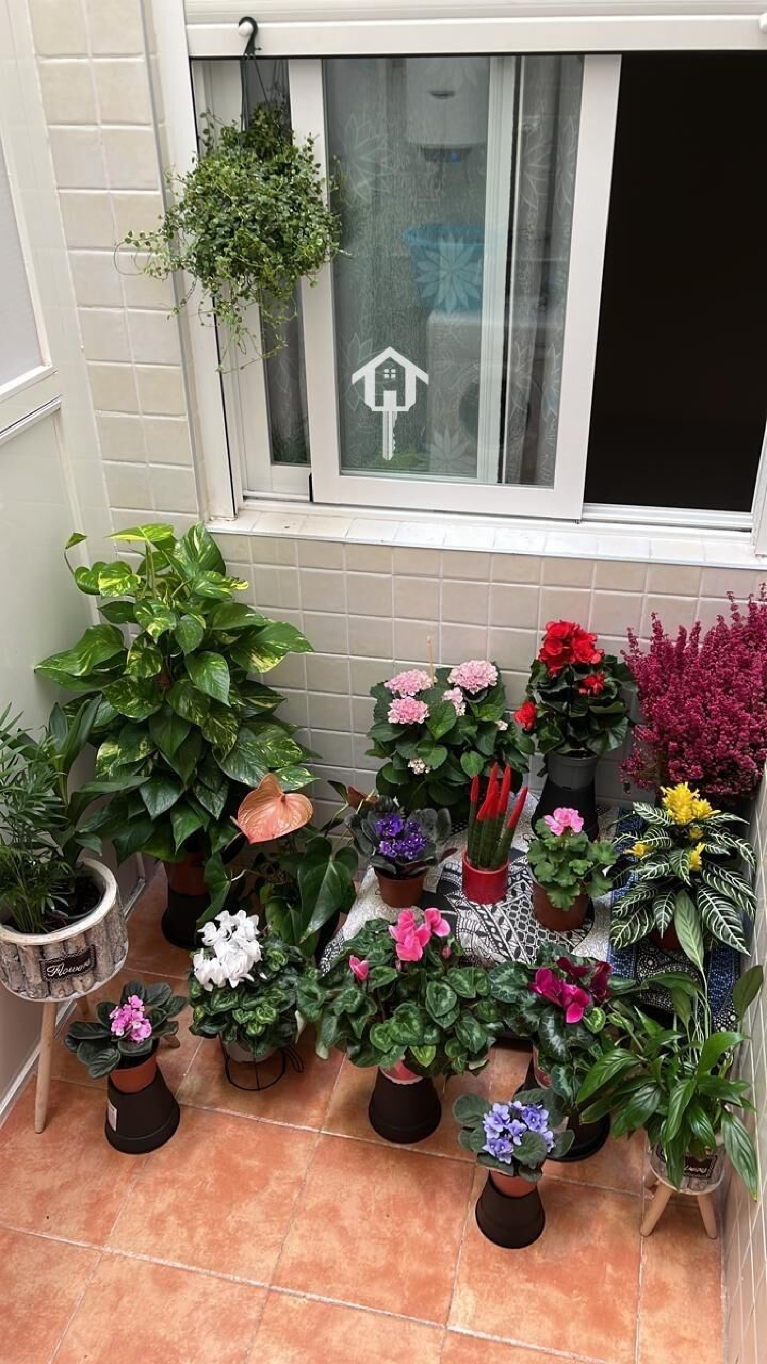  kaufen Wohnung Alicante Centro 03001 Alacantí 6