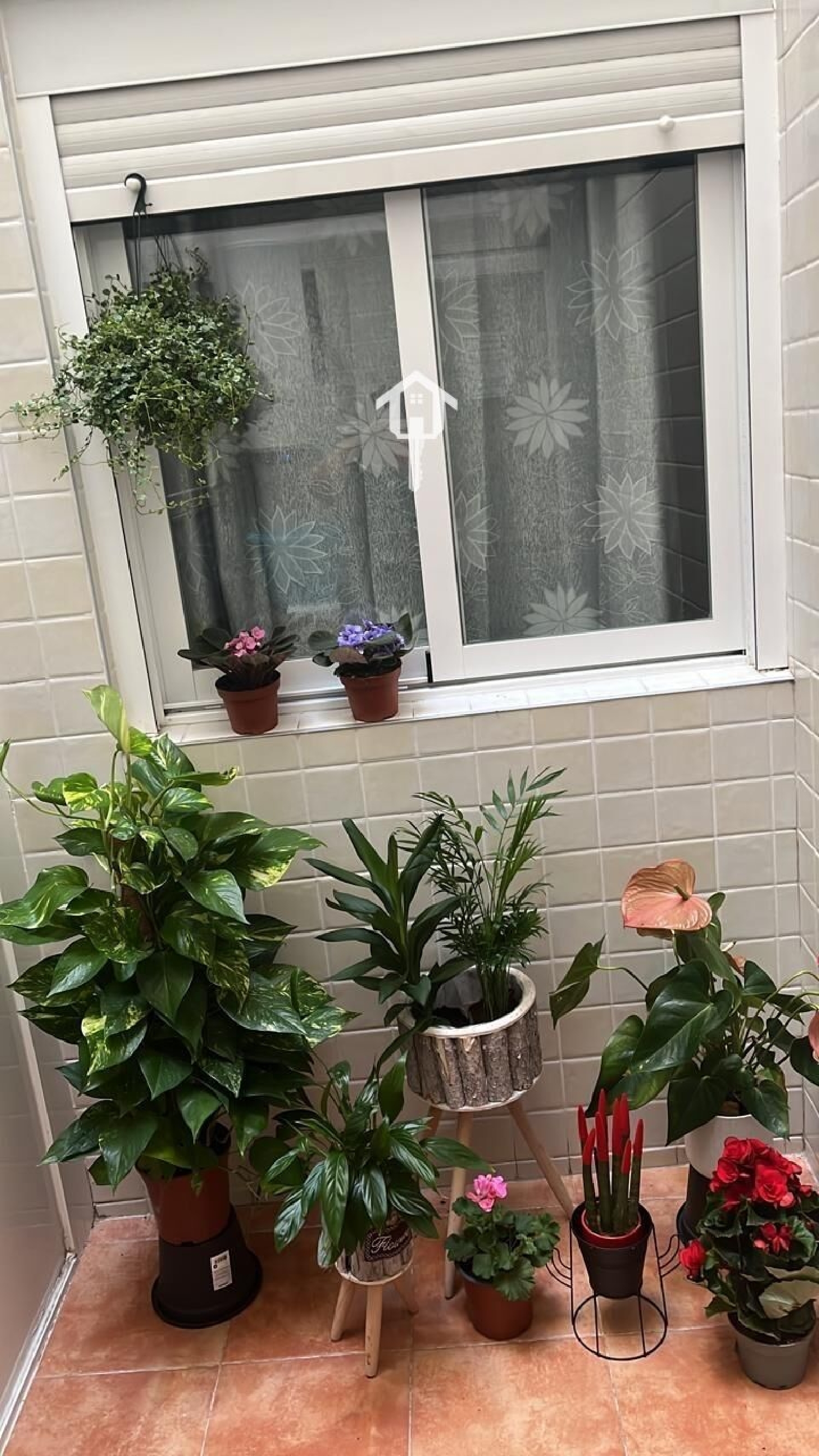  kaufen Wohnung Alicante Centro 03001 Alacantí 7
