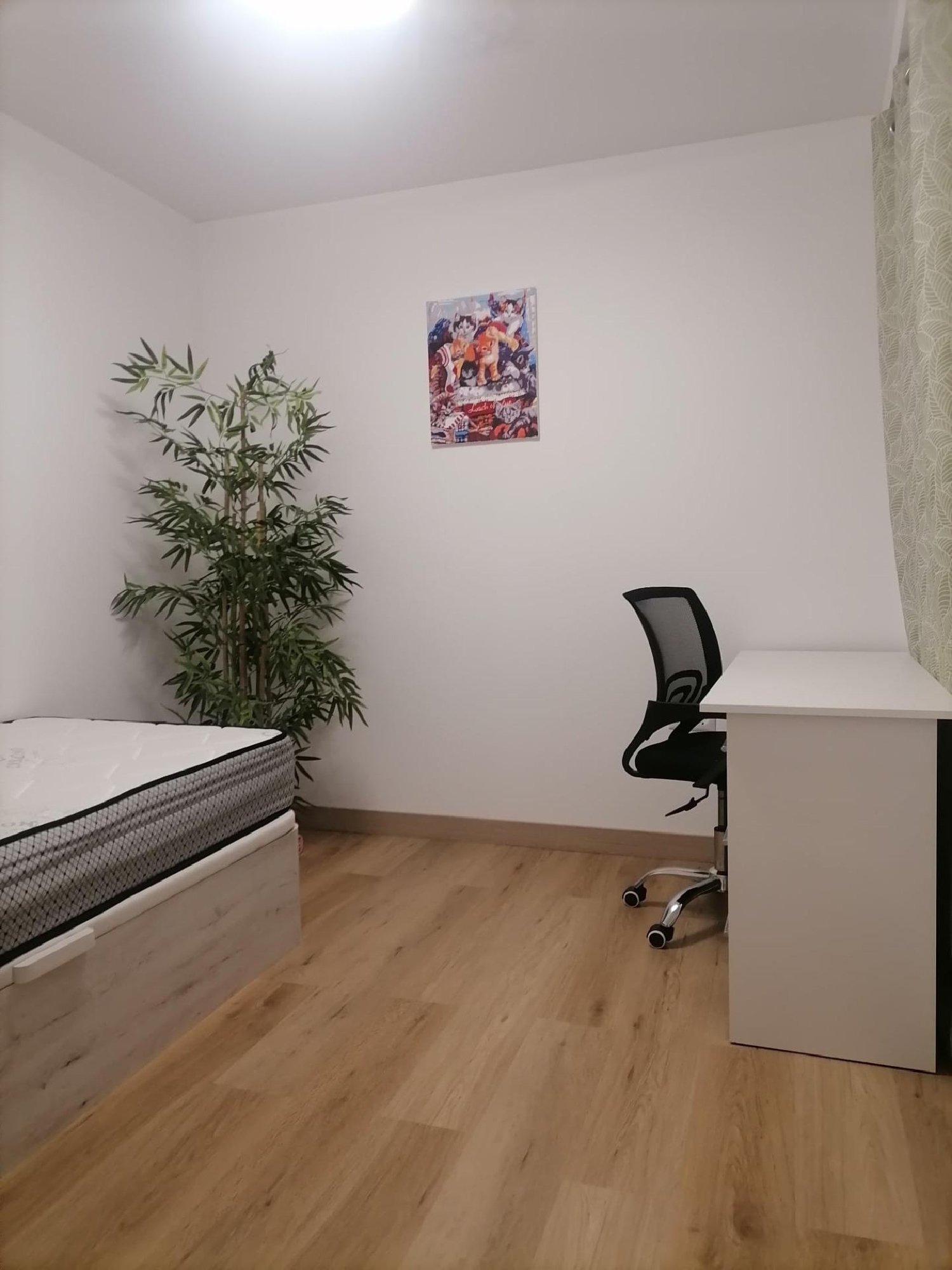  te koop appartement Alicante Centro 03001 Alacantí 1