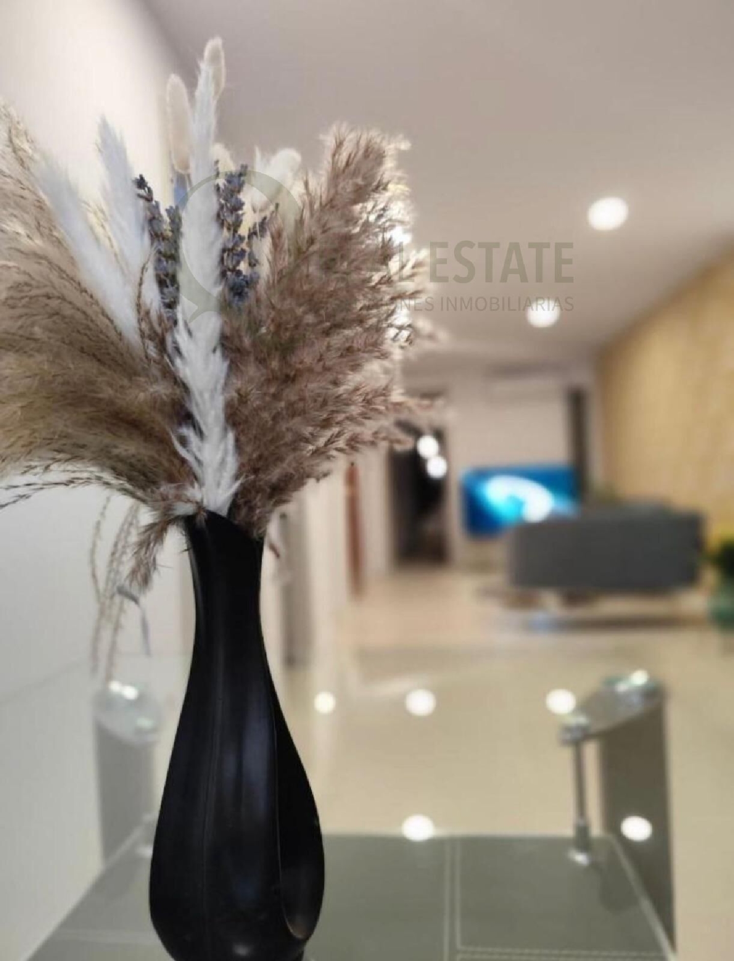  à vendre appartement Alicante Centro 03001 Alacantí 6