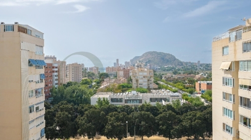Alicante Centro 03001 Alacantí apartamento foto 6315157