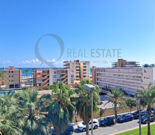 Alicante Centro 03001 Alacantí Wohnung Bild 6318367