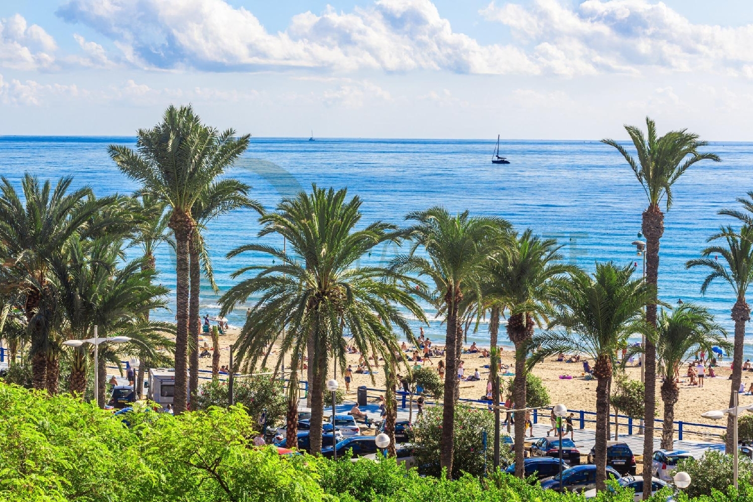 kaufen Wohnung Alicante Centro 03001 Alacantí 1