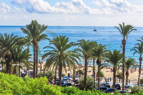 Alicante Centro 03001 Alacantí Wohnung Bild 6318369