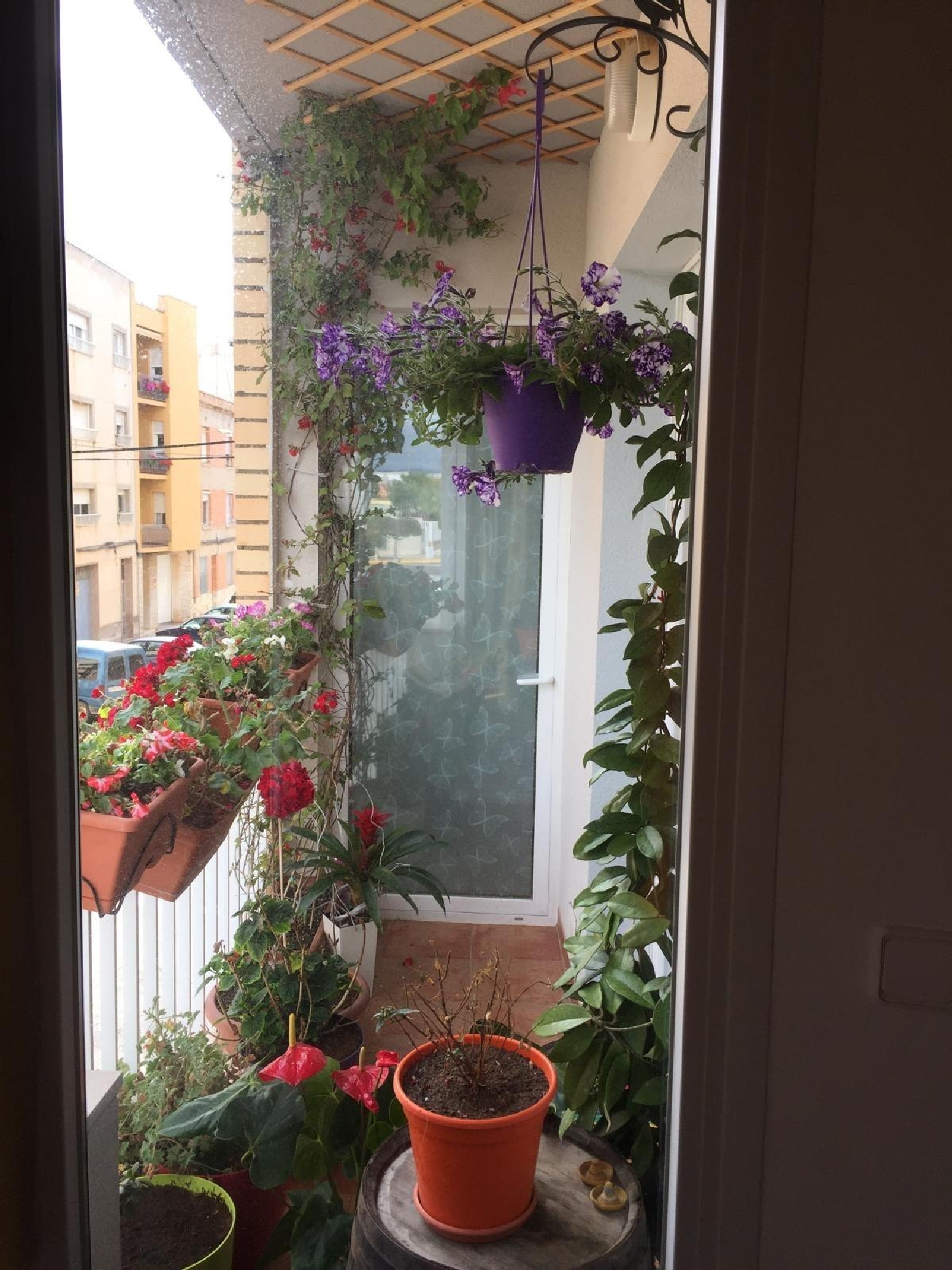  te koop appartement Benicarló Baix Maestrat 5