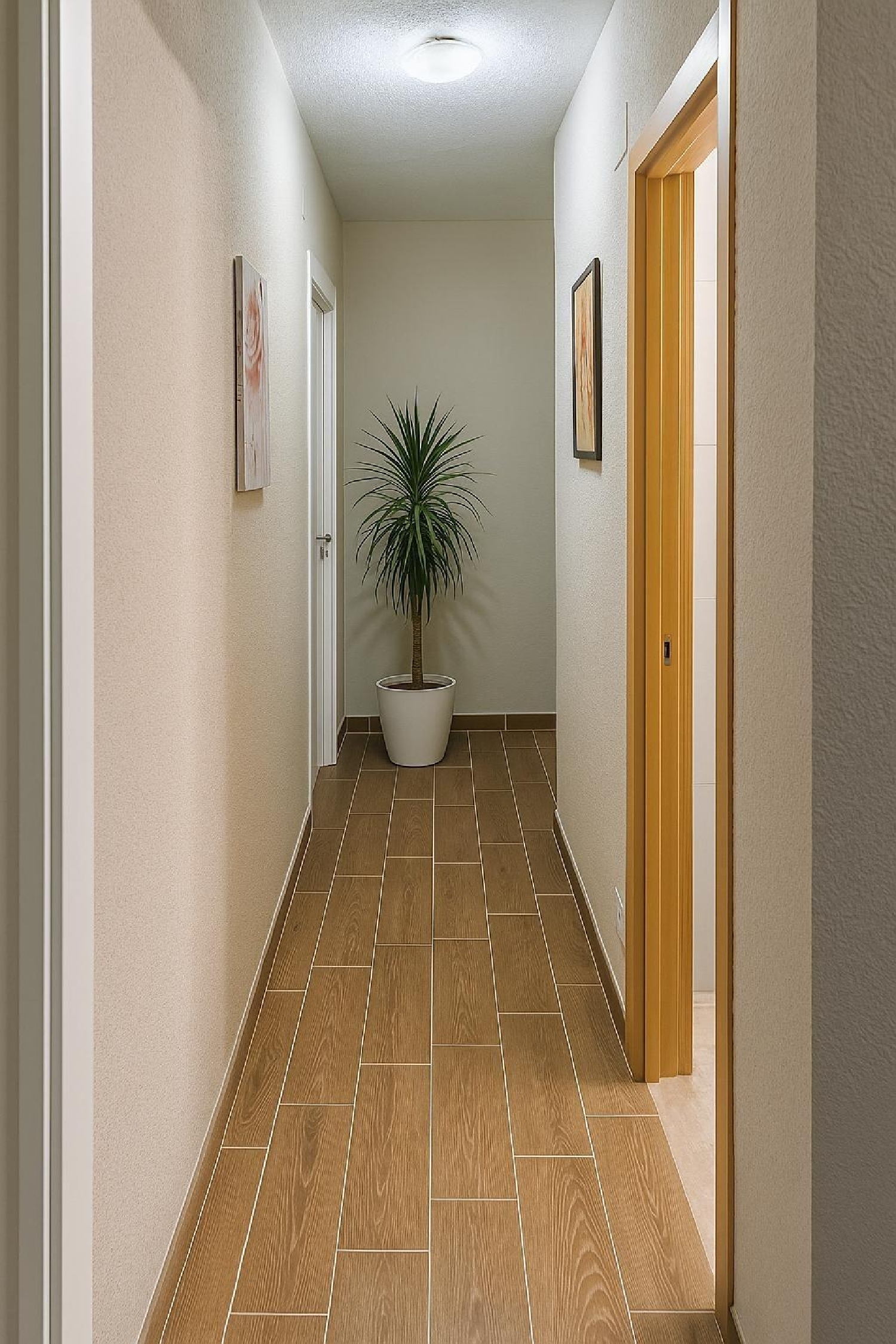  for sale apartment Benidorm (Centro) Marina Baixa 5