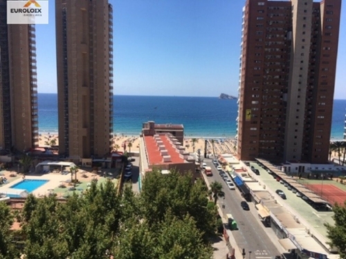 Benidorm (Centro) Marina Baixa Wohnung Bild 6311839