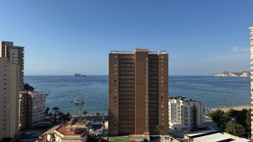 Benidorm (Centro) Marina Baixa Wohnung Bild 6311848