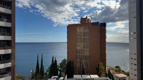 Benidorm (Centro) Marina Baixa Wohnung Bild 6311850
