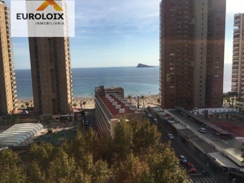 Benidorm (Centro) Marina Baixa Wohnung Bild 6314933