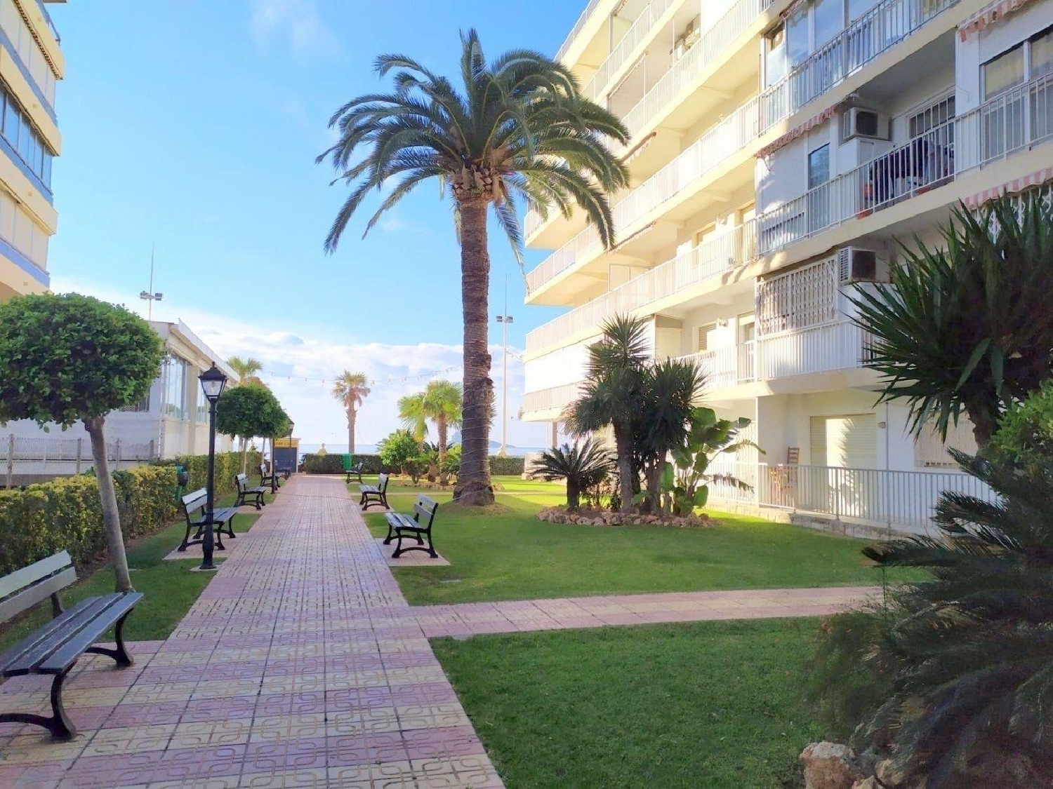  kaufen Wohnung Benidorm (Centro) Marina Baixa 5
