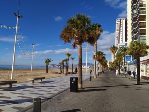 Benidorm (Centro) Marina Baixa Wohnung Bild 6314934