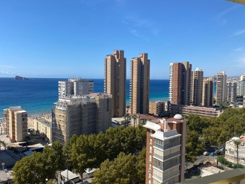 Benidorm (Centro) Marina Baixa Wohnung Bild 6314935