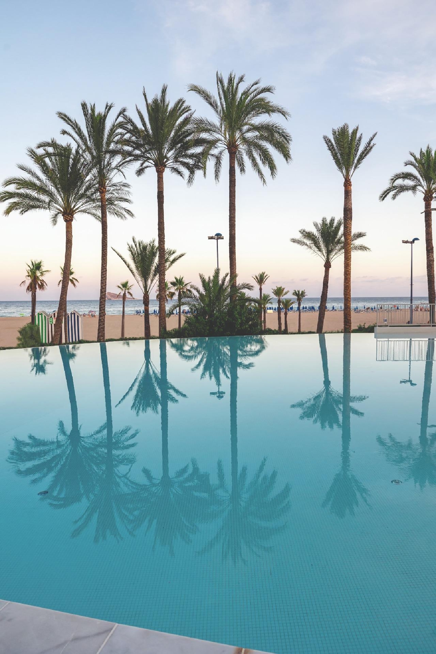 kaufen Wohnung Benidorm (Centro) Marina Baixa 2