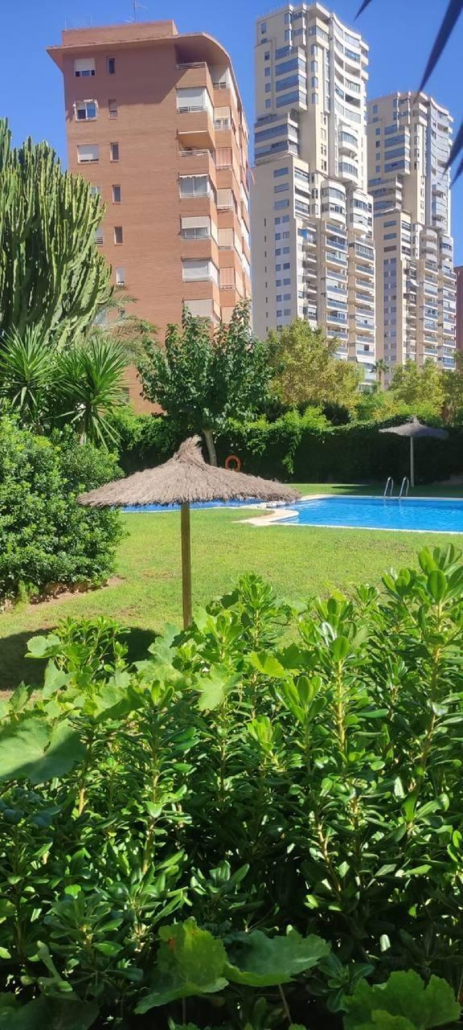  for sale apartment Benidorm (Centro) Marina Baixa 3