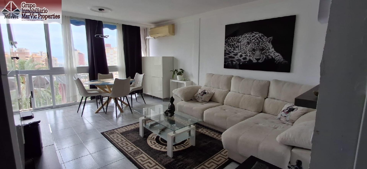 kaufen Wohnung Benidorm (Centro) Marina Baixa 2
