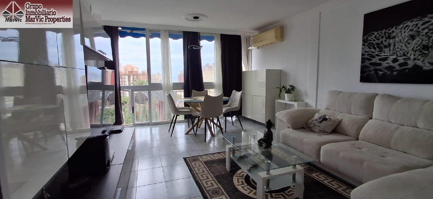 kaufen Wohnung Benidorm (Centro) Marina Baixa 6