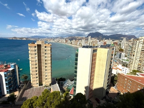 Benidorm (Centro) Marina Baixa Wohnung Bild 6311721