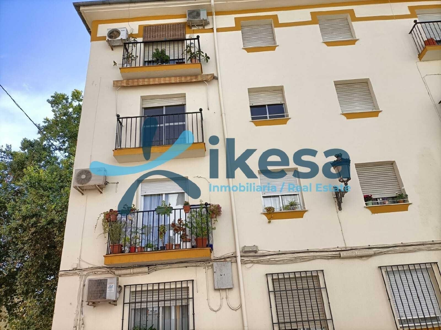 te koop appartement Cabra Subbética 2