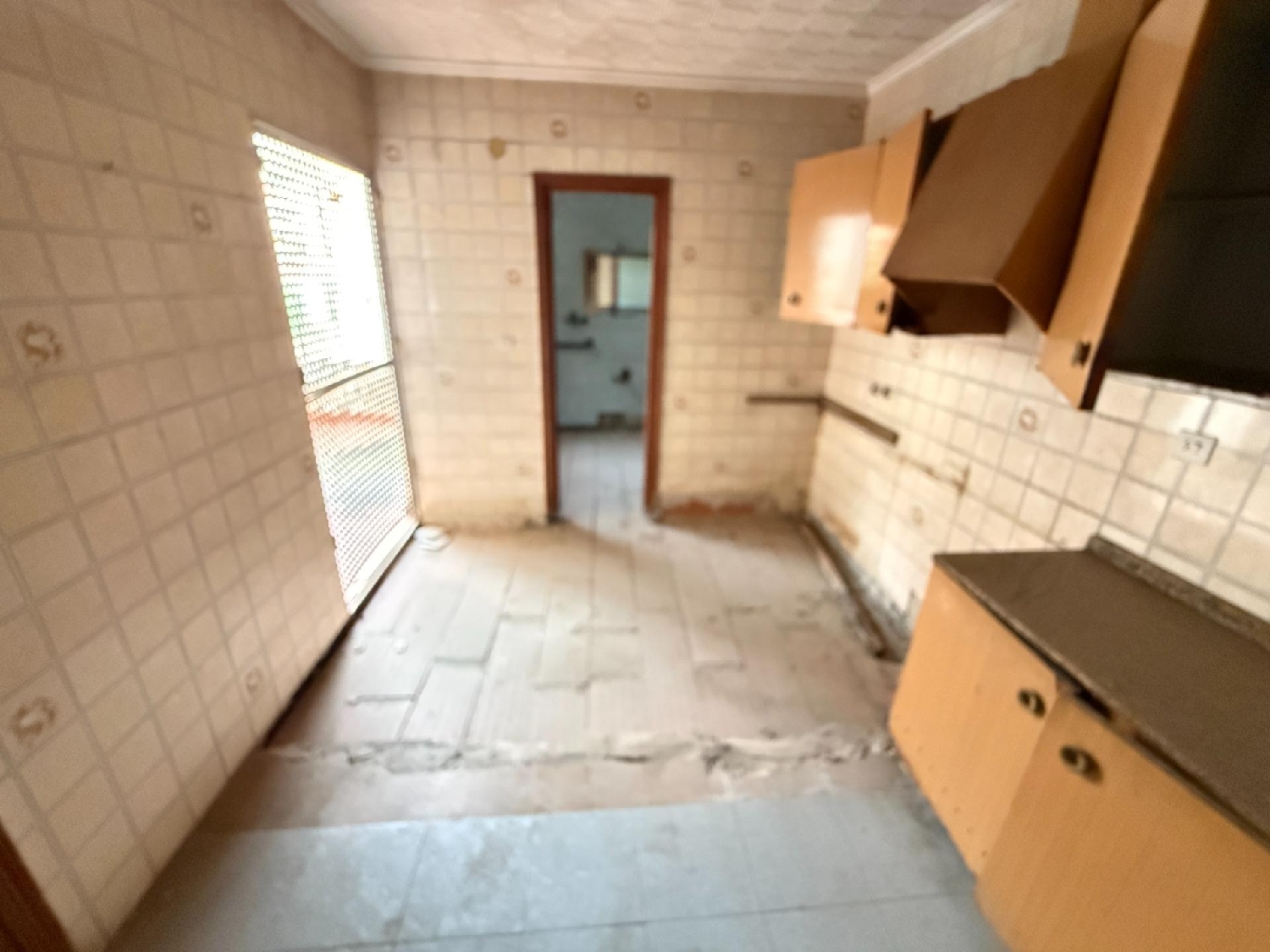 kaufen Wohnung Callosa De Segura Baix Segura 7